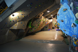 Image:palestra